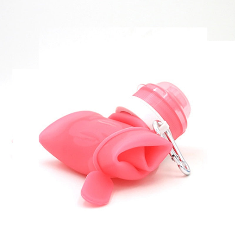 Rollable Water Bottle